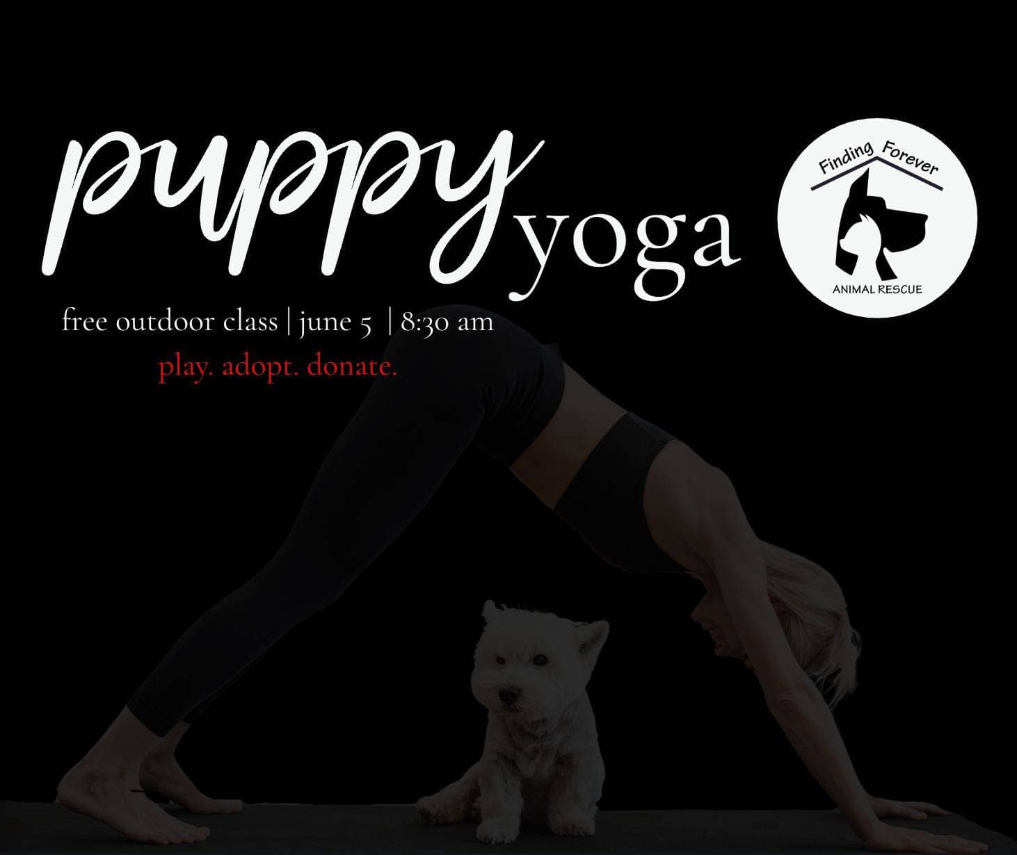 free outdoor puppy yoga in Marion pairs with rescue adoptions
