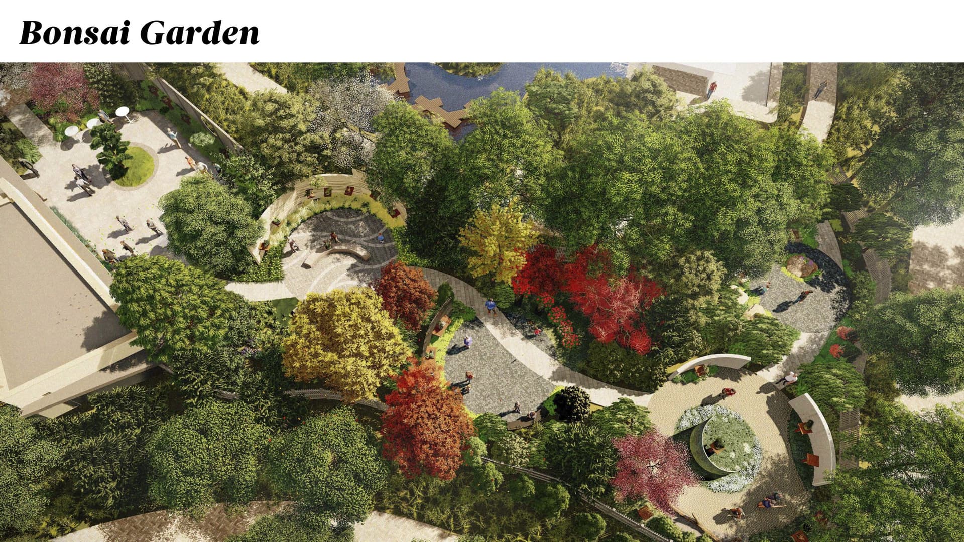 Waterfront Botanical Gardens expands bonsai program with first curator