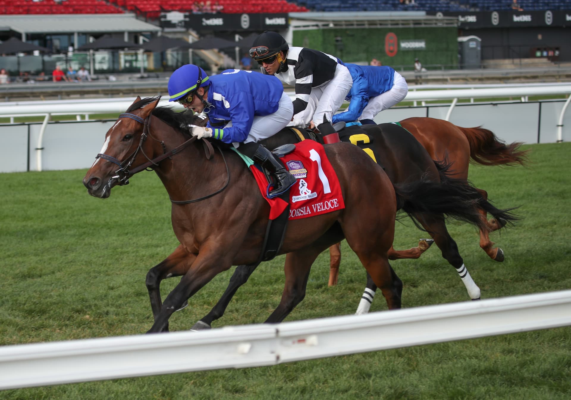 Corsia Veloce starts Woodbine Oaks path in Fury Stakes return