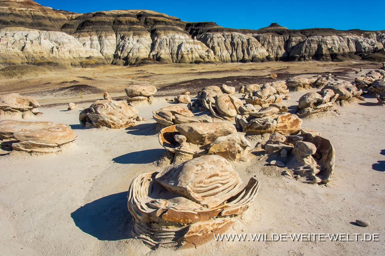 BLM Urges Caution at Bisti Badlands: No Fossil Collecting, Bring Water