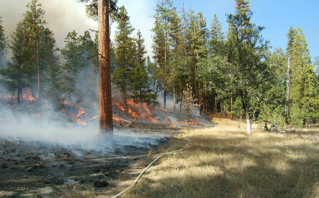 North Hills Recreation Area reopens after BLM fuels work concludes