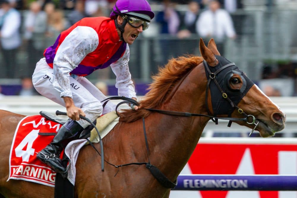 Sumbe hires Will Johnson to expand southern hemisphere racing push