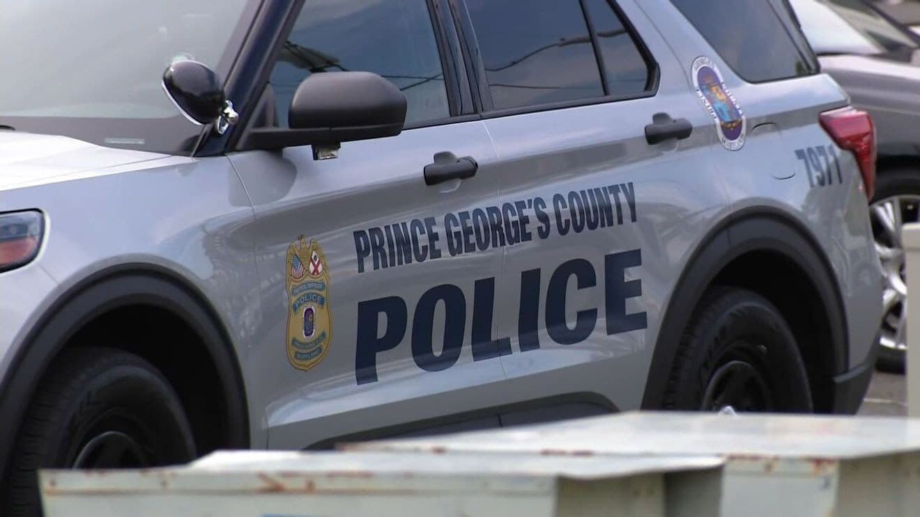 Two Fans Arrested for Disorderly Conduct at Sold-Out France vs. Colombia Match