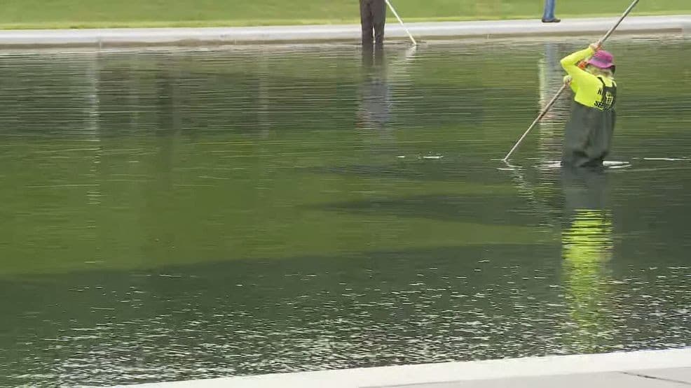 Lincoln Memorial Reflecting Pool faces repairs amid peeling, algae bloom