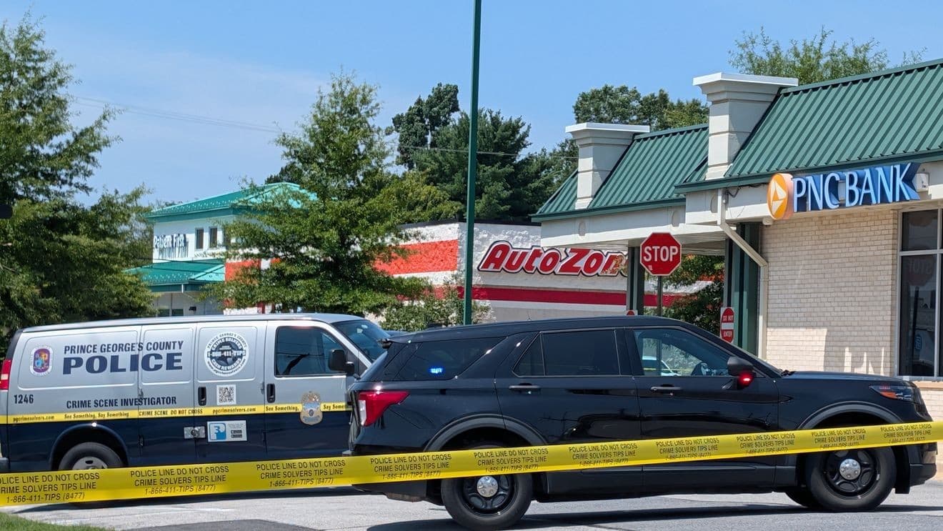 Police arrest man in Beltsville bank robbery, recover stolen cat
