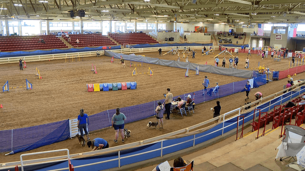 More than 300 dogs compete at Fletcher AKC agility trial