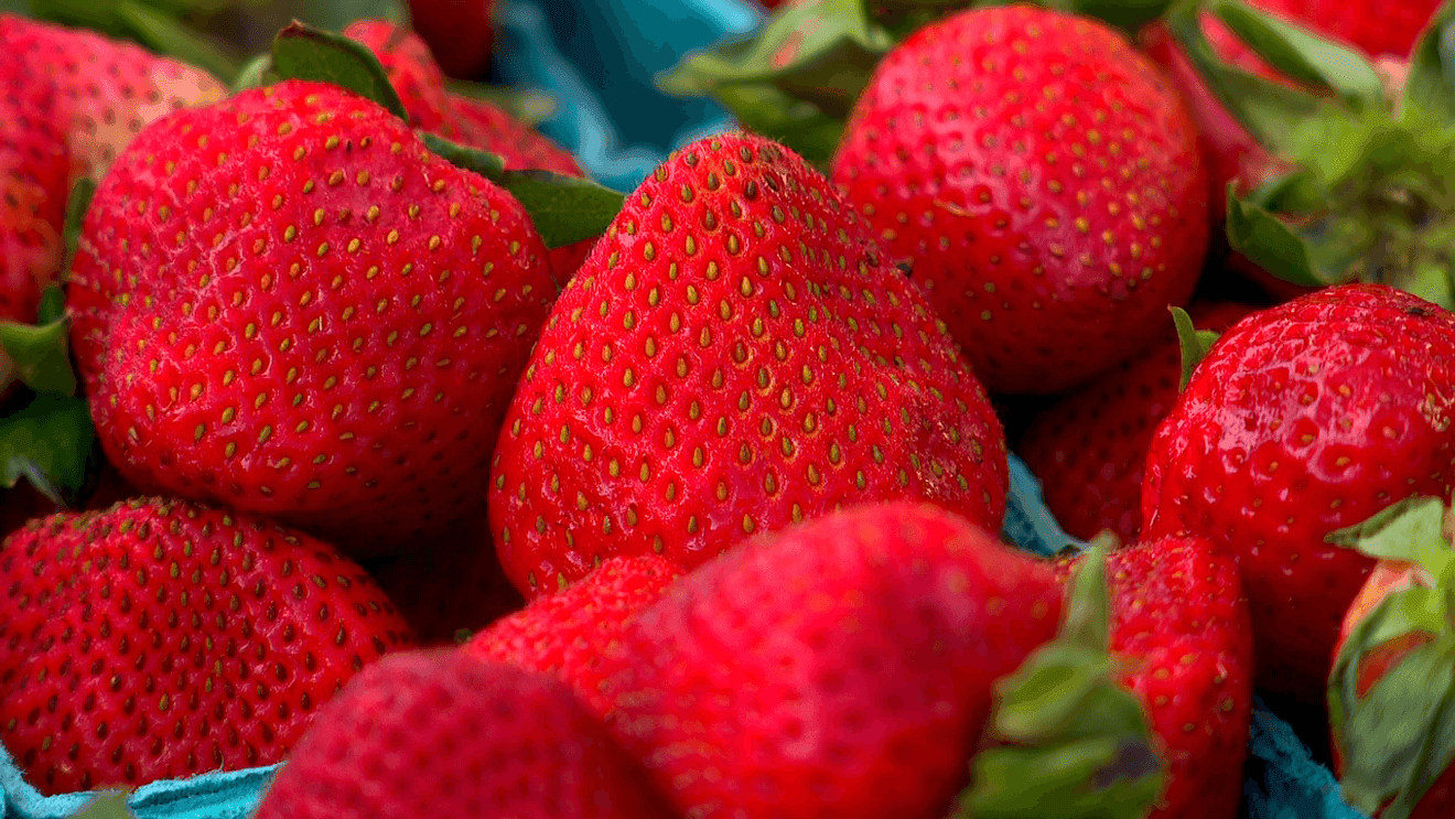 Nine Buncombe County Farmers Markets Open for Spring Season