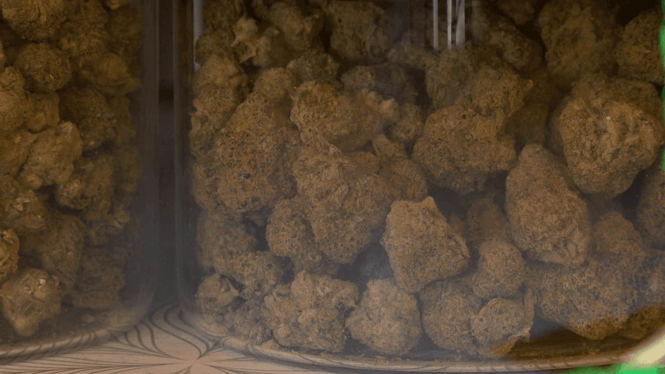 Asheville police data shows marijuana often secondary in arrests