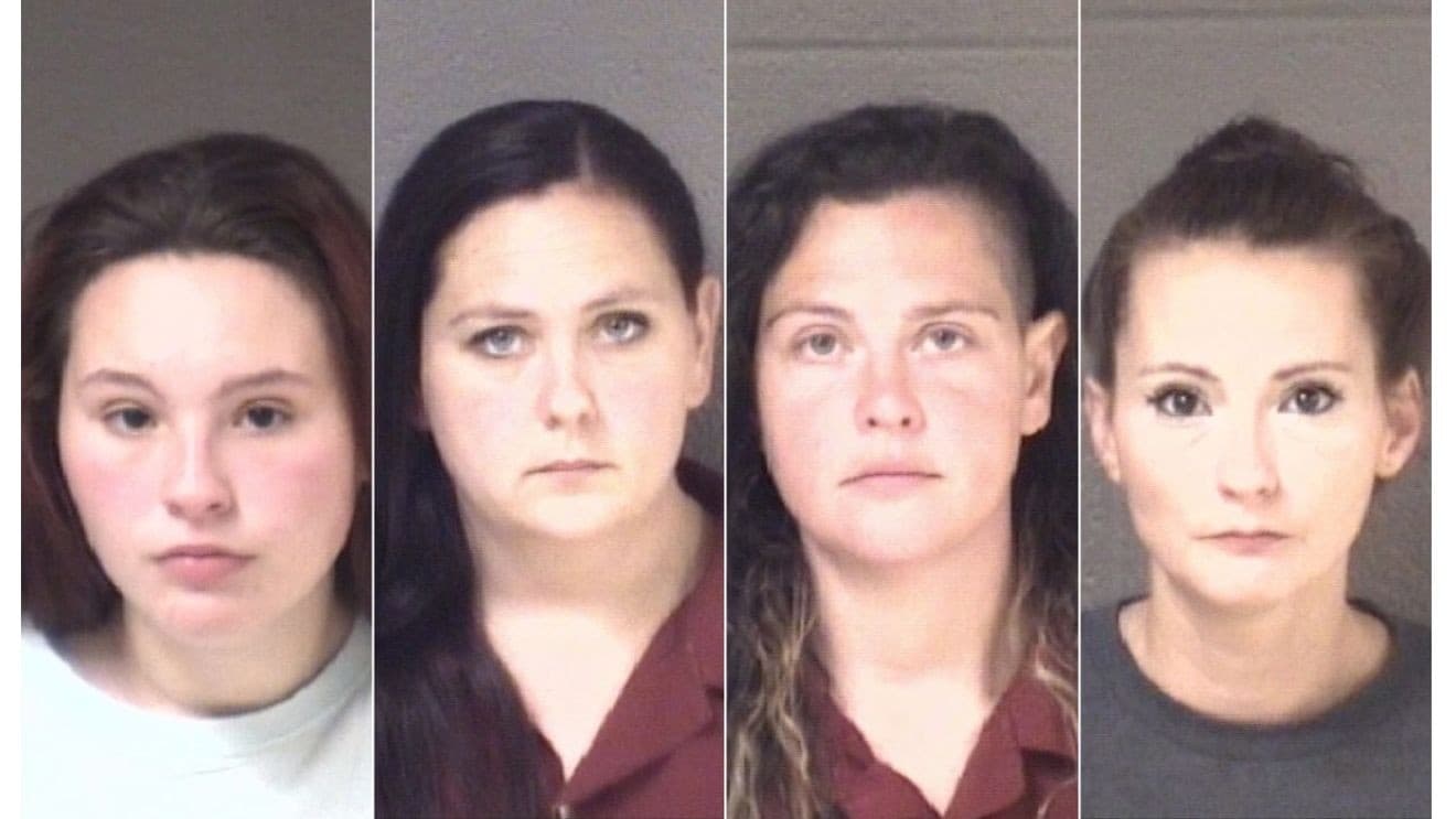 4 Swannanoa kennel employees arrested after dogs found starved