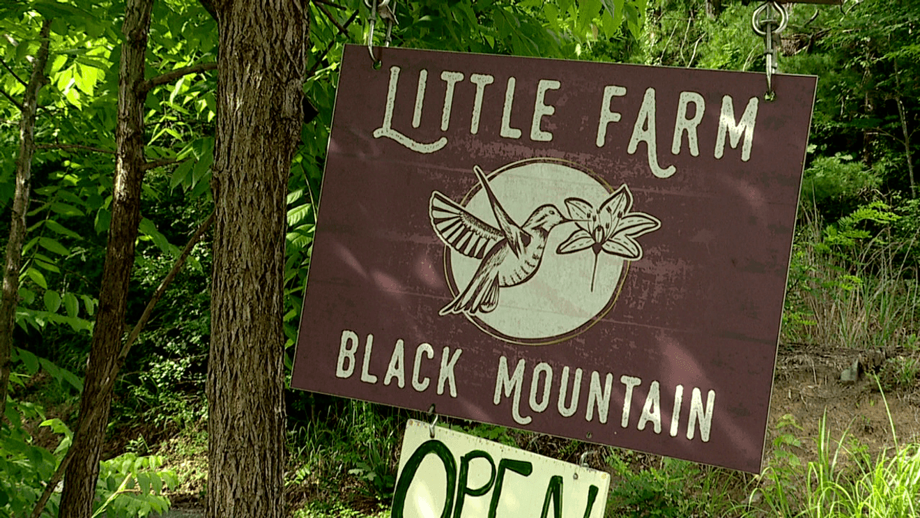 Black Mountain family turns flood-damaged land into community farm
