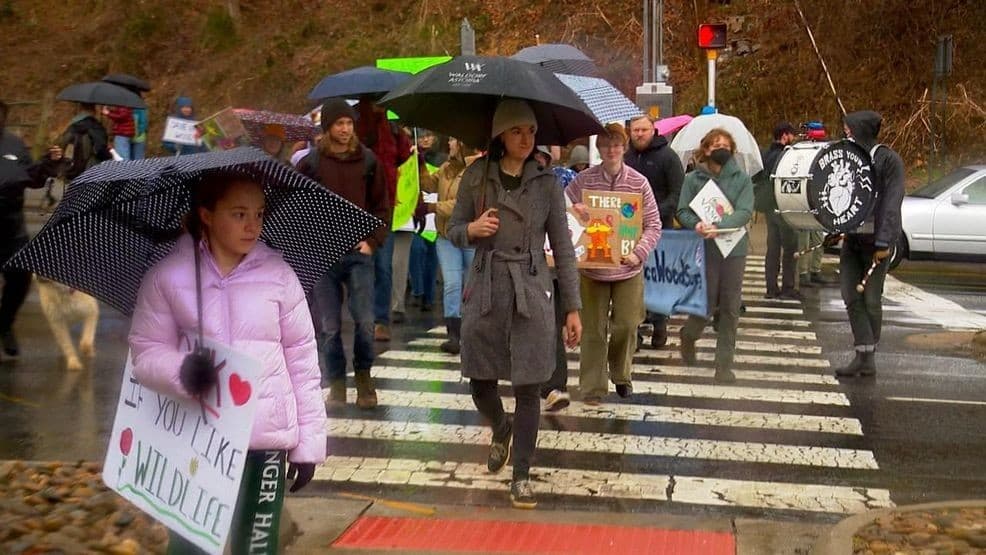 Dozens Protest UNC Asheville Plans to Develop 45-Acre Millennial Campus Forest