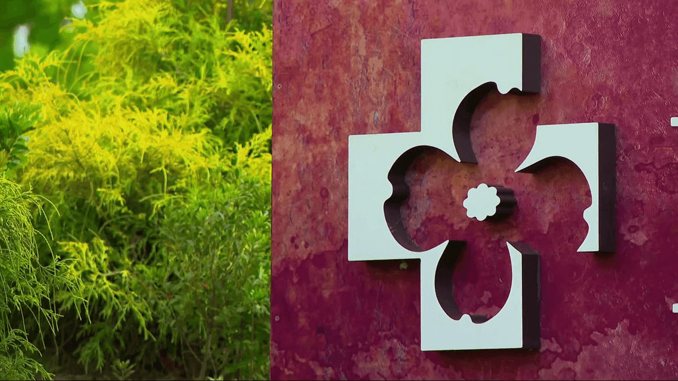 Mayfield pushes HCA for Mission Hospital impact report, proposal fails