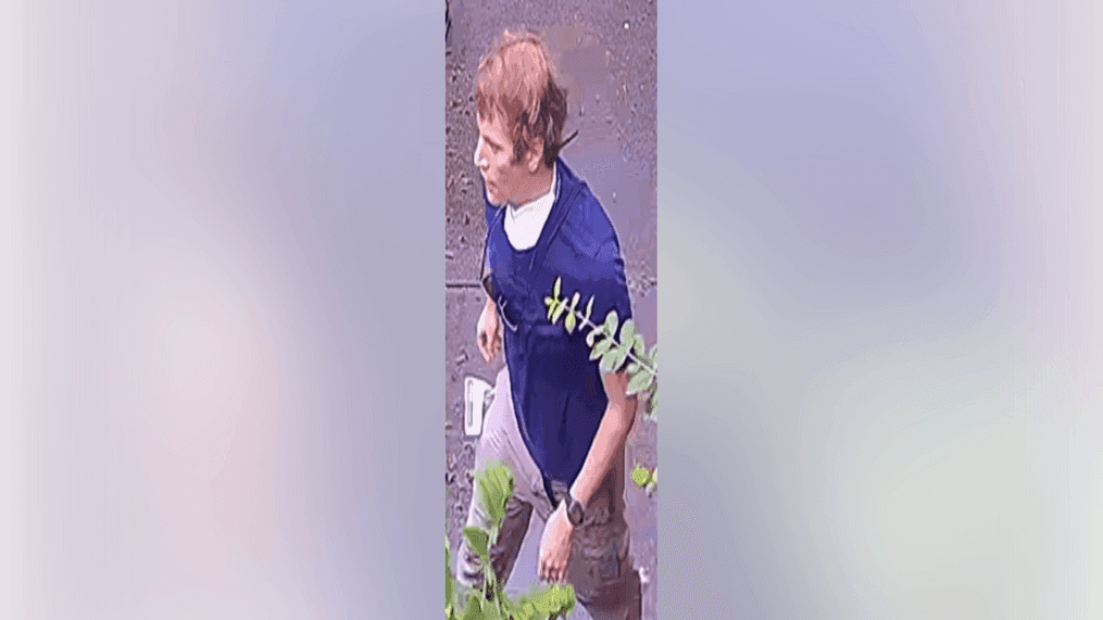 Three Plead Guilty in West Asheville Library Altercation, Ethnic-Intimidation Charges Dismissed