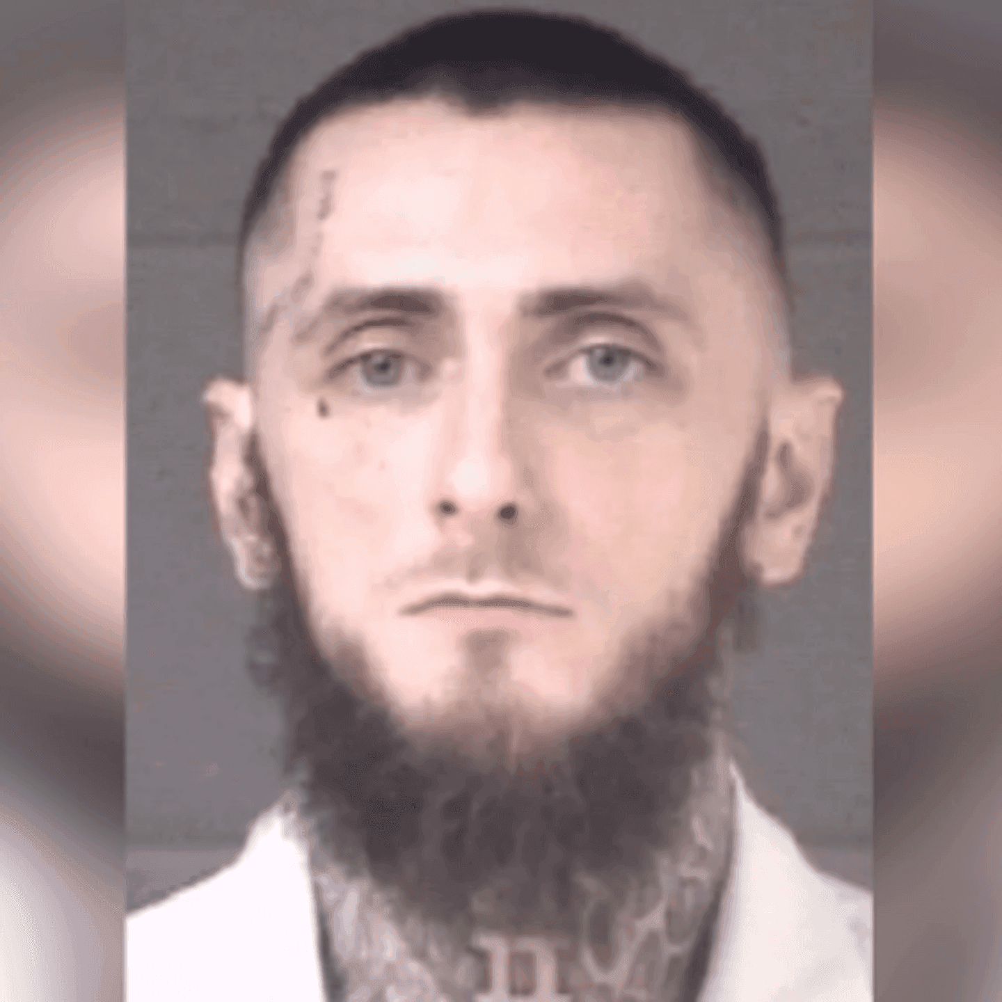 Fairview Man Pleads Guilty to Manslaughter in 2023 East Asheville Stabbing