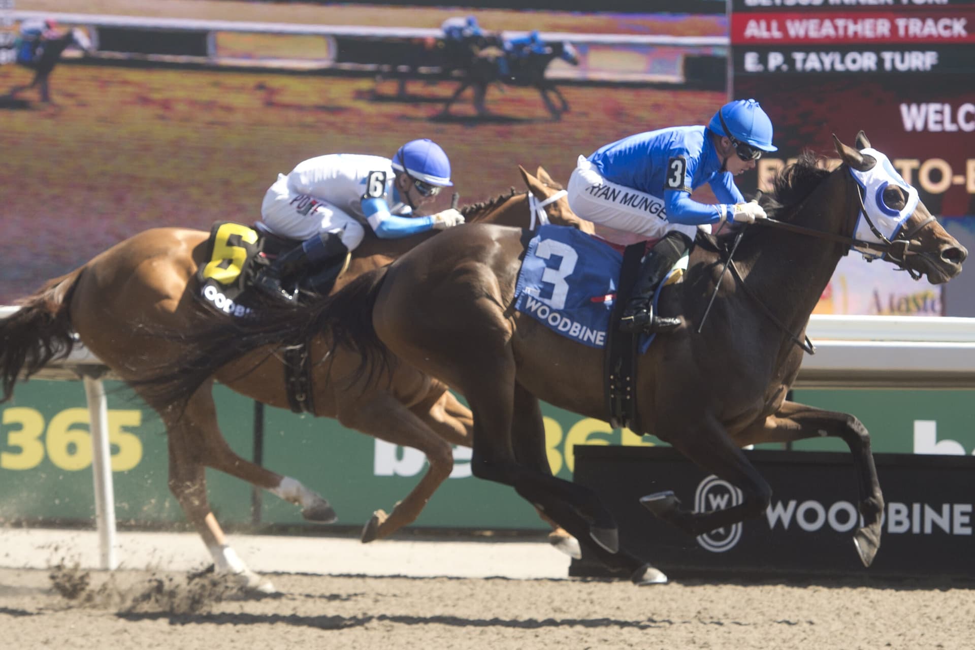 Deloraine rallies to win Belle Mahone Stakes at Woodbine