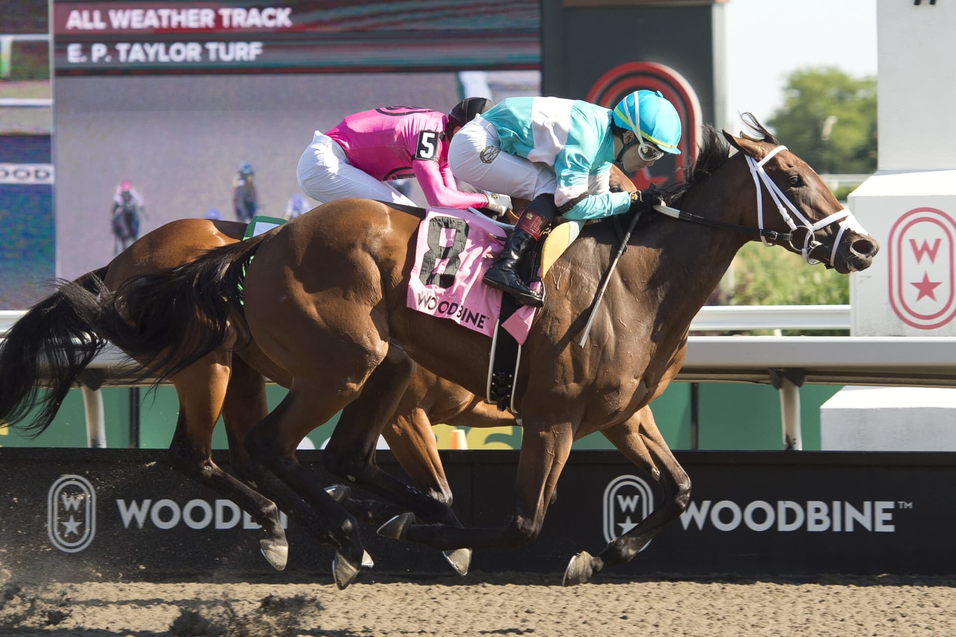 Meilani wins Alywow stakes to boost Canadian sprint credentials