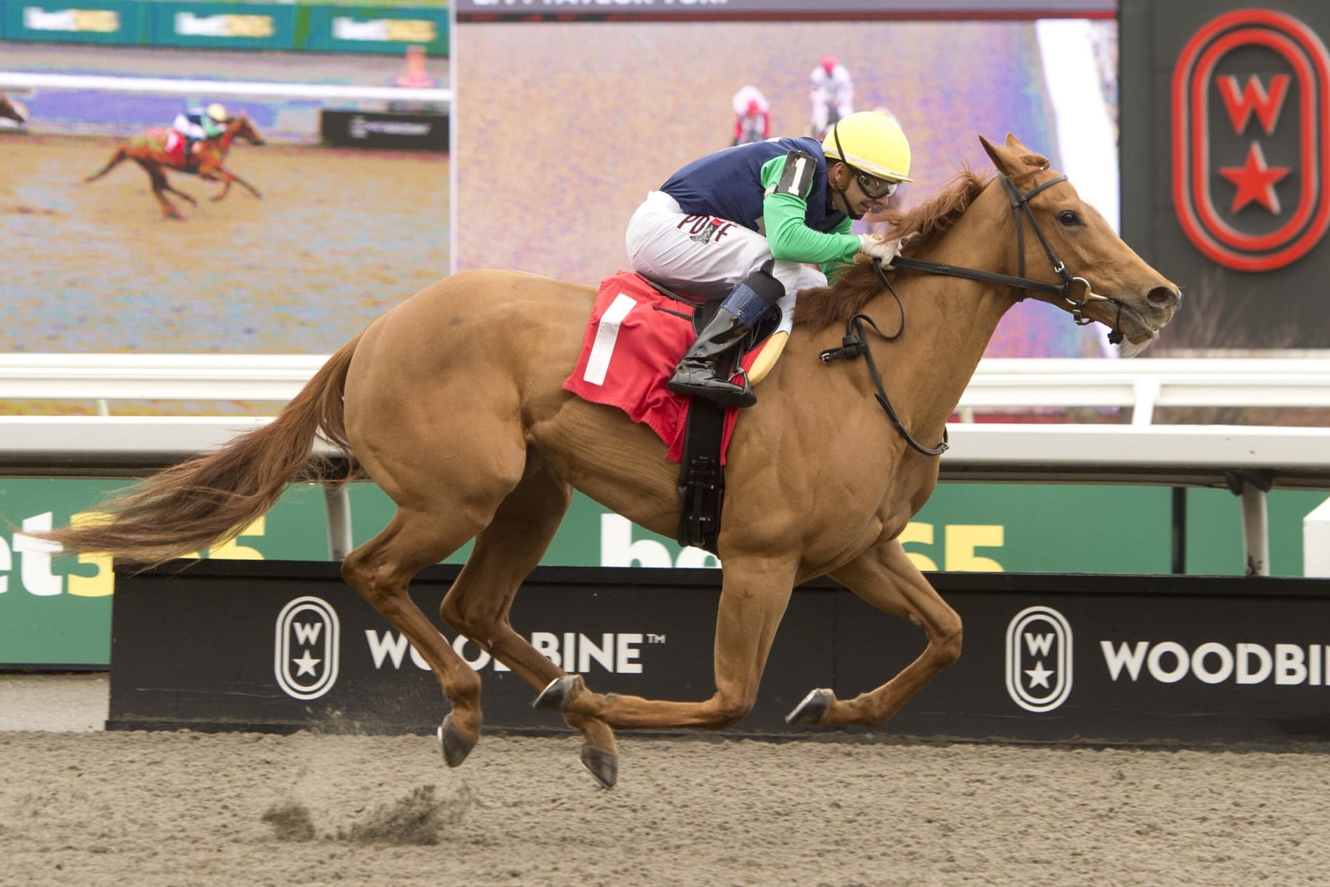 Pageant Queen looks to break through in Woodbine Fury Stakes