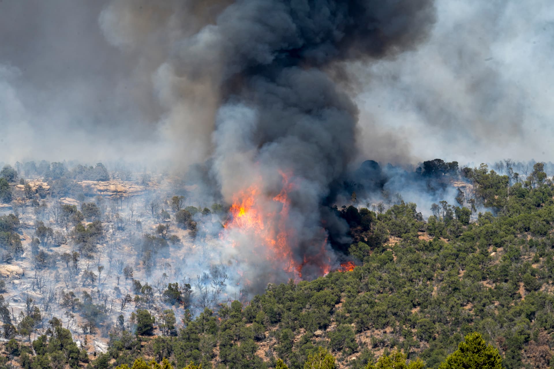 Ferris Fire forces evacuations across southwest Colorado, grows past 60,000 acres