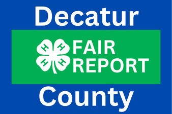 Fair keeps momentum with livestock, family fun and grandstand event