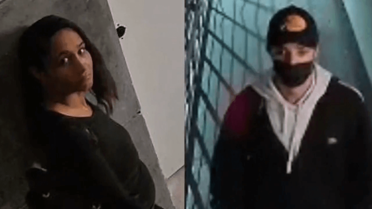 Thieves Hit Soon-to-Open Gracie Lab, Steal Recovery and Yoga Gear