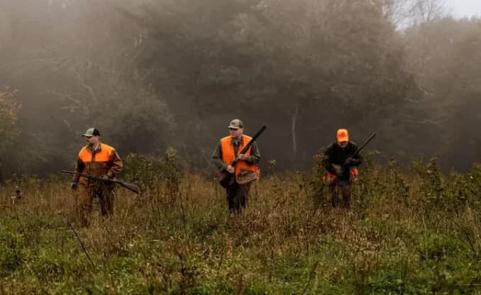 Anawalt Lake Wildlife Management Area Offers Outdoor Recreation in McDowell County
