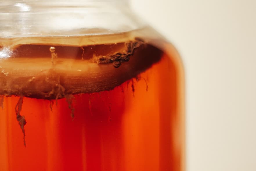 AFDO page centralizes state kombucha rules for brewers