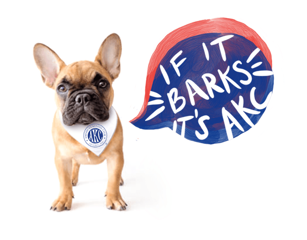AKC guide helps owners decode what dogs are really saying