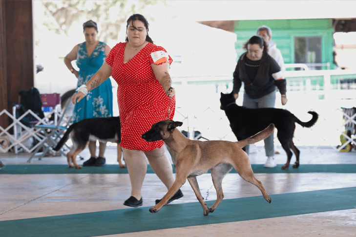 AKC Pride feature highlights LGBTQ+ inclusion in dog sports