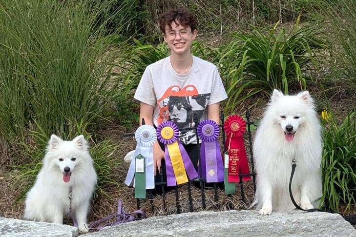 Shy American Eskimo Dog becomes rally star with teen handler