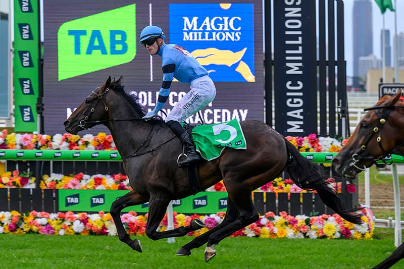 Maher-trained Unit Five wins Magic Millions 2YO Classic in second start