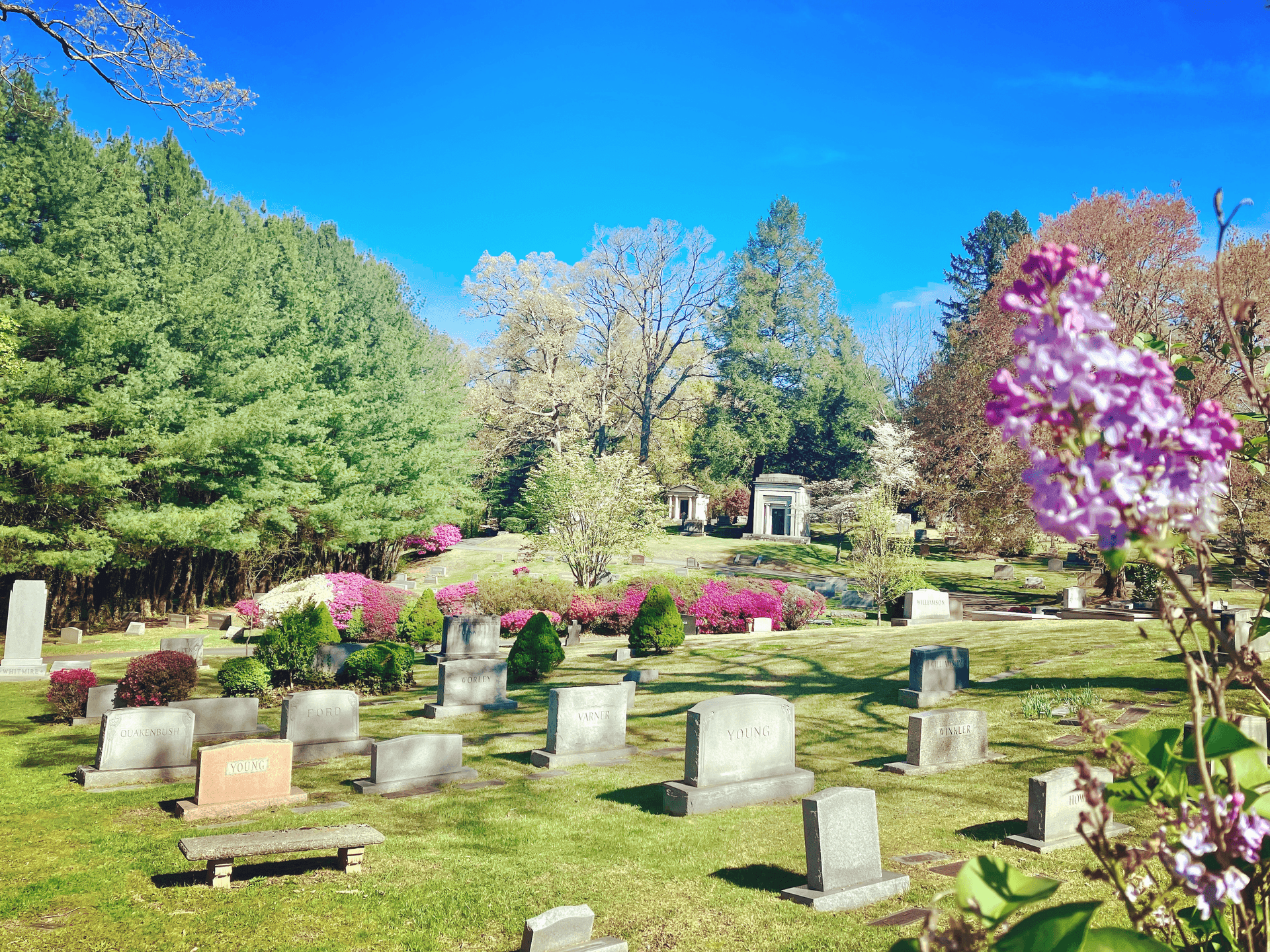 Asheville’s Riverside Cemetery blends history, landscape and daily park life