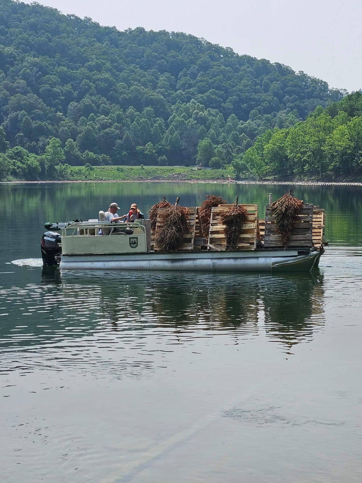 Buckhorn Lake Offers Boating, Fishing, and Hiking for Perry County Visitors