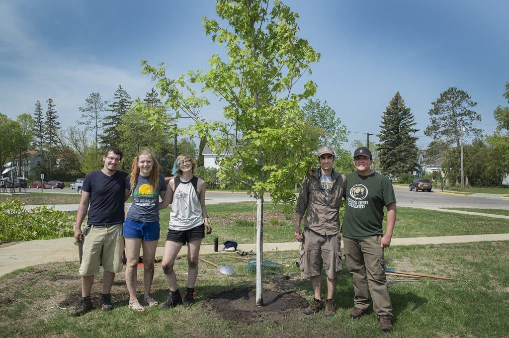 Lincoln and Bemidji students plant trees after damaging storm