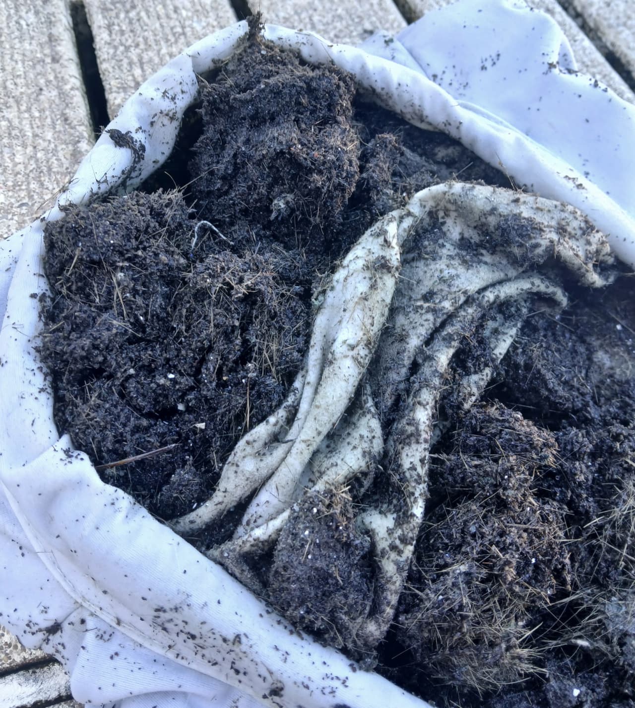 Pāhoa Community Aquatic Center closed indefinitely after Kīlauea tephra contamination, contractor hired