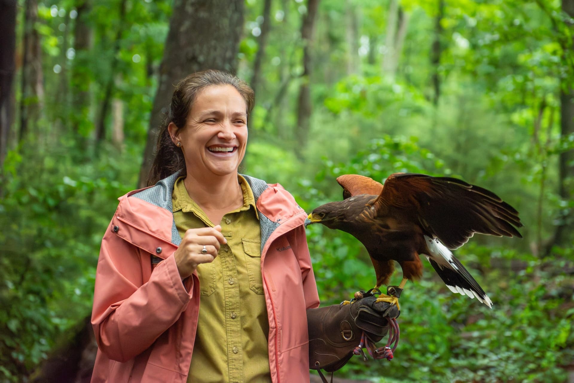 Biltmore falconry brings guests up close with trained birds of prey