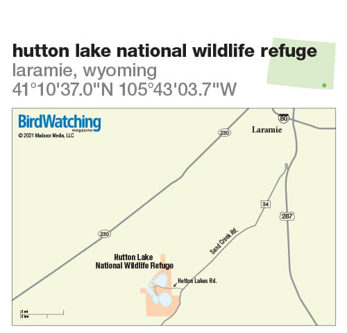 Hutton Lake refuge offers year-round wildlife watching near Laramie