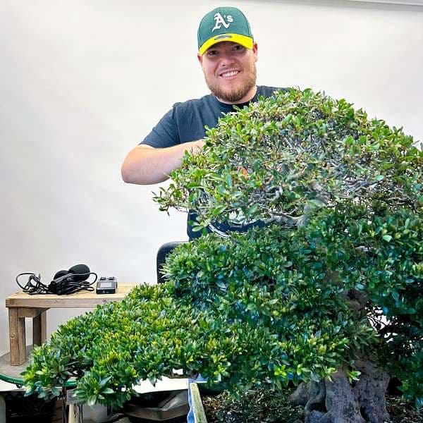 East Bay Bonsai Society Newsletter Mixes Kokufu Highlights With Satirical Megasai Humor