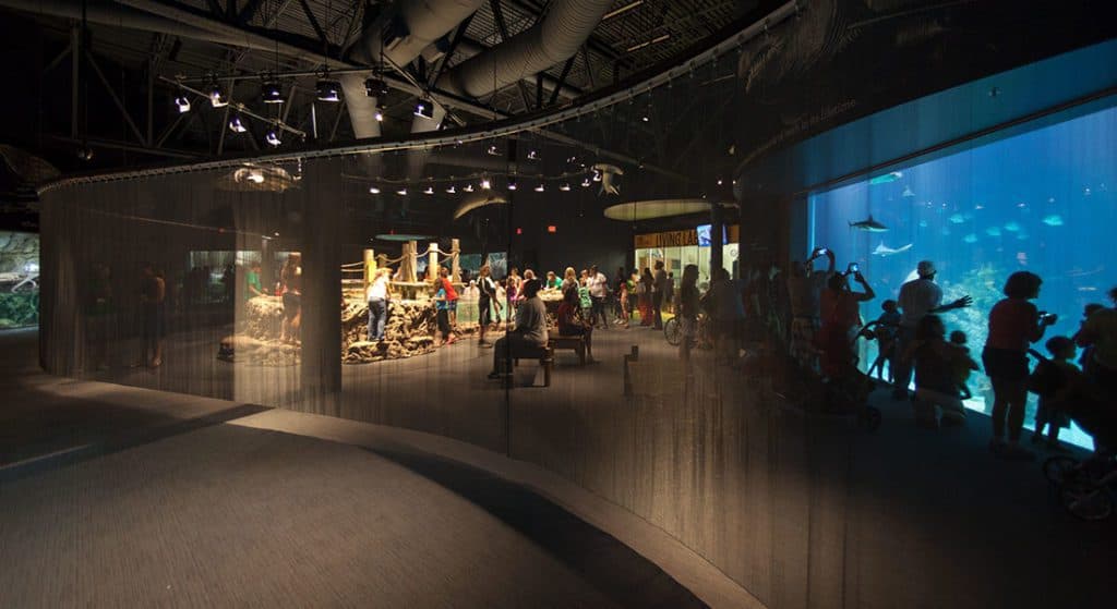 Greensboro Science Center anchors community learning and conservation