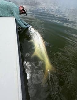 Puerto Rico tuna bite stays active despite rough weather