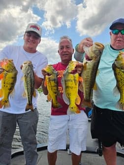 Miami Offshore Rip Produces Blackfin Tuna, Sailfish, Mahi, and Kingfish