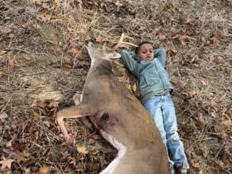 Local Hunter Bags 11 Point Buck, Field Report Shares Details