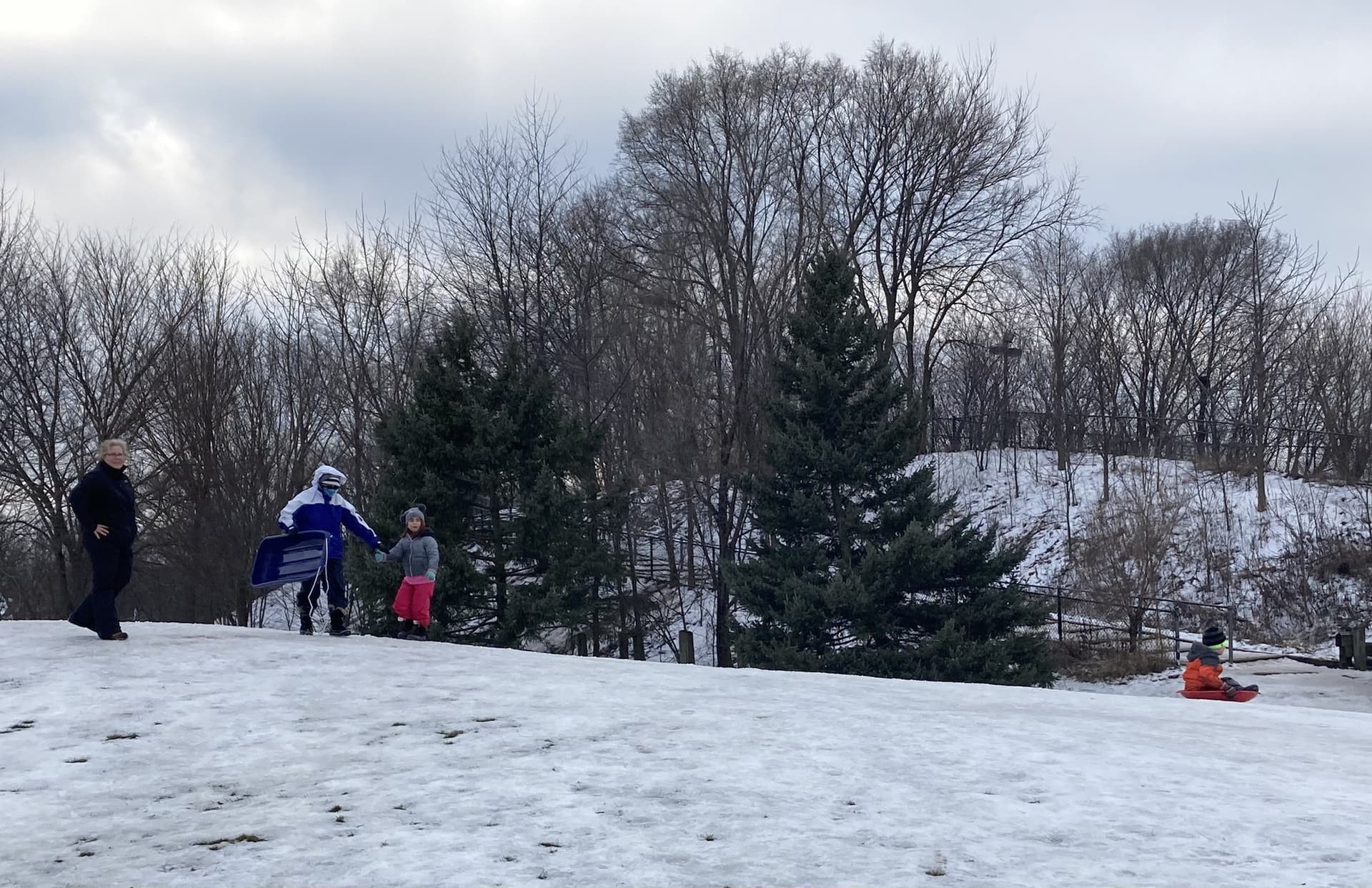 Burlington Expands Christmas in the Park, Sledding Hill Draws Crowds