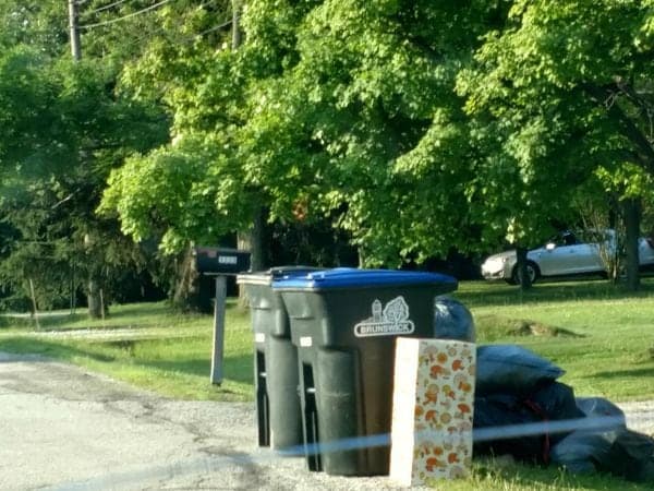 Brunswick Announces Free Disposal and Curbside Tree Pickup Jan 2026