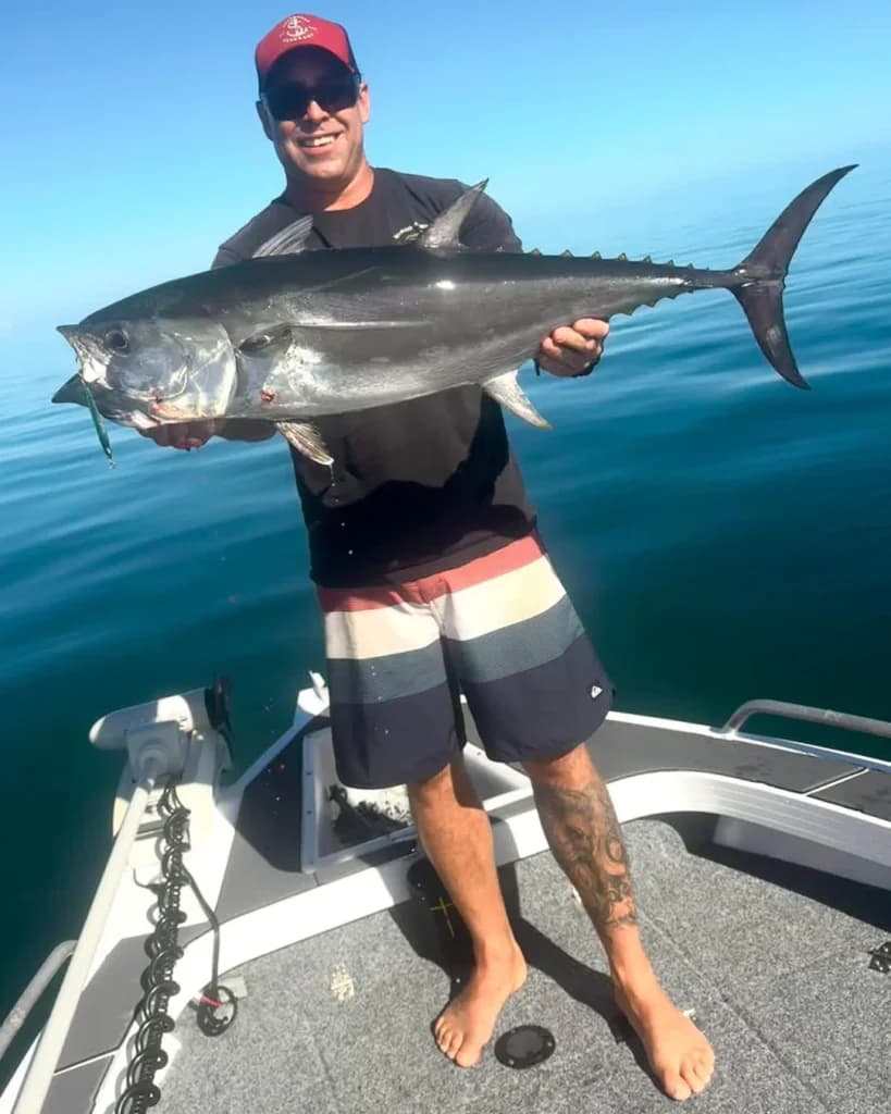 Longtail Tuna Spread Across Fraser Coast Waters in Autumn Bite