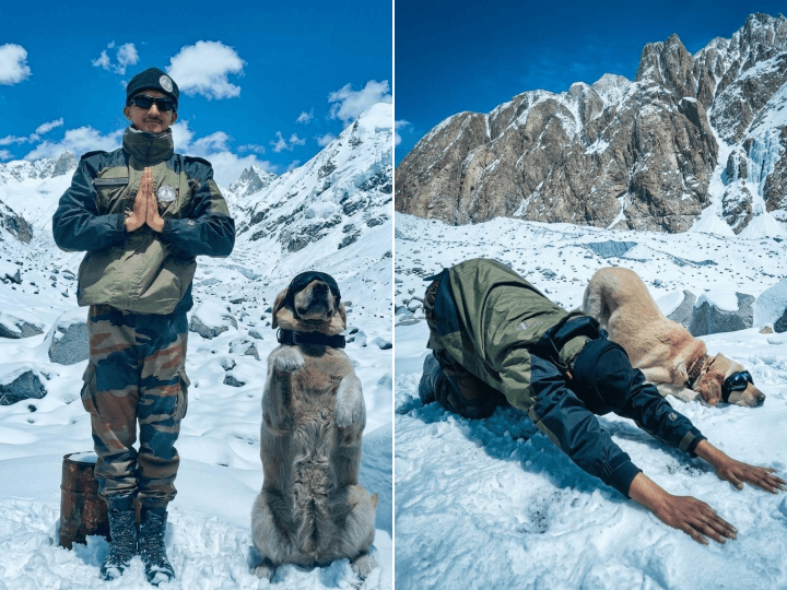 Indian Army dogs join Yoga Day at Siachen Glacier