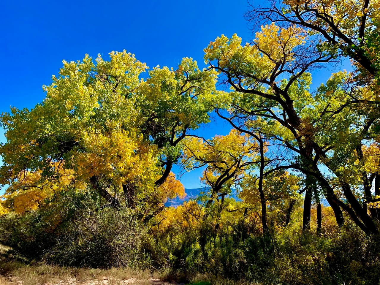 How Sandoval County Outdoor Areas Serve Health, Safety, Community