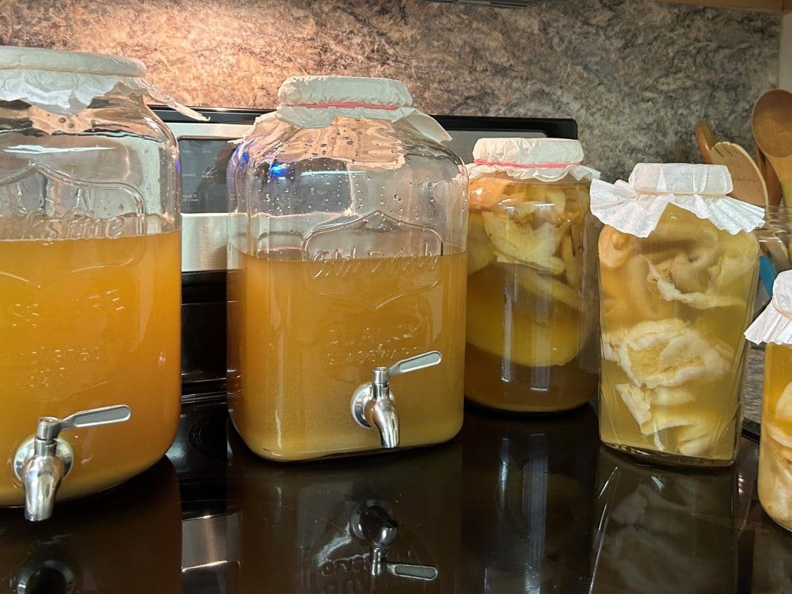 Alabama Extension offers beginner kombucha workshops in Mobile and Fairhope