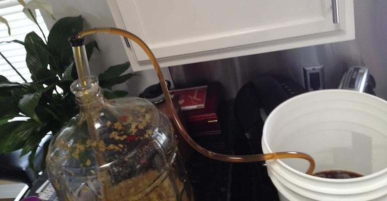 Essential Low-Cost Tips for New Homebrewers to Improve First Batches