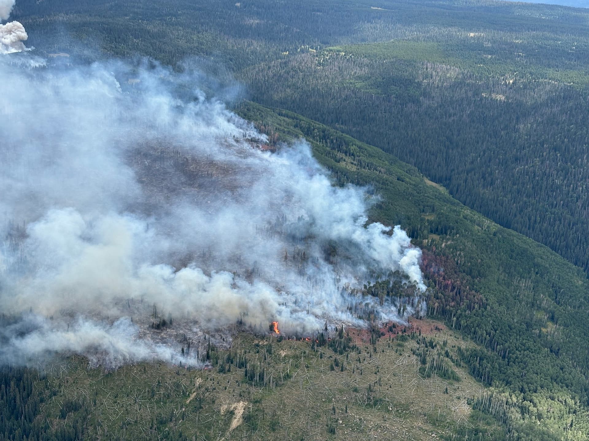 Lightning-sparked Stoner Mesa Fire burns San Juan National Forest northeast of Dolores
