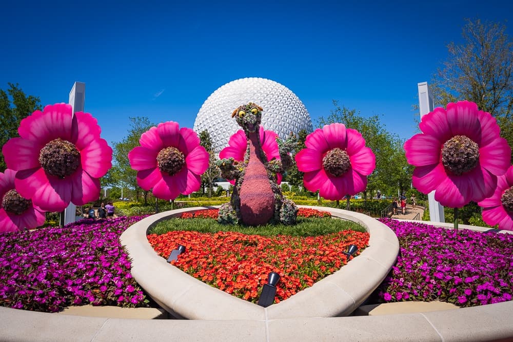 EPCOT’s 2026 Festival Guide Names Bonsai Among Garden Destinations, Echoing 2025 Displays